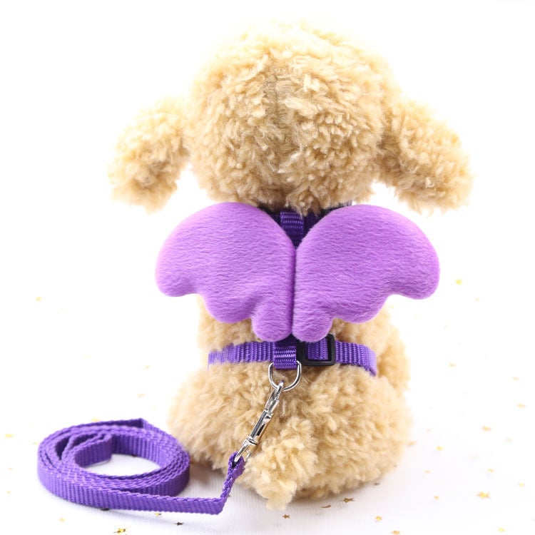 Cute Angel Dog Leash