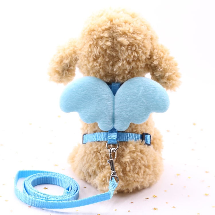 Cute Angel Dog Leash