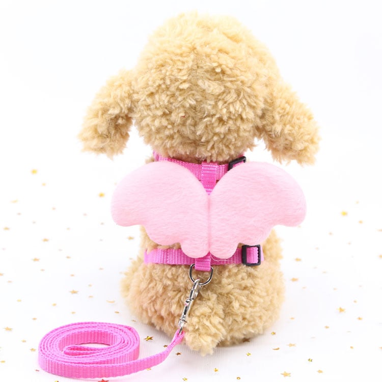 Cute Angel Dog Leash