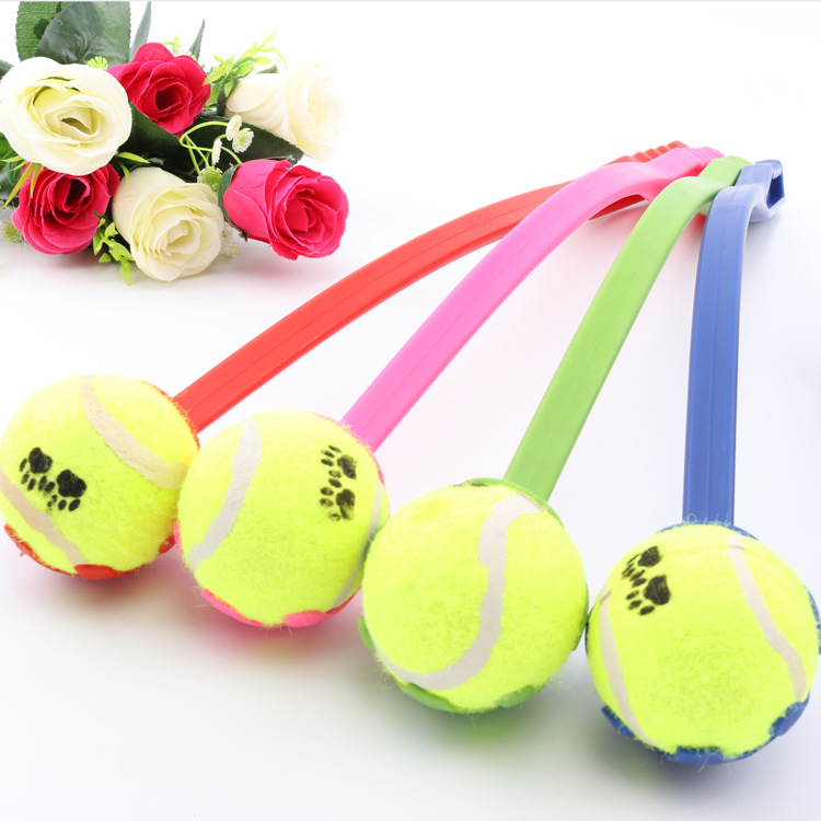 Hands-Free Dog Ball Launcher